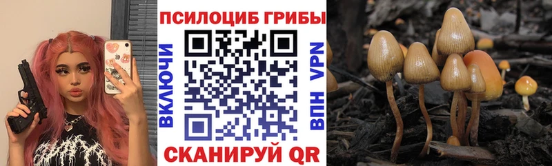 Купить где  Братск  Галлюциногенные грибы GOLDEN TEACHER 