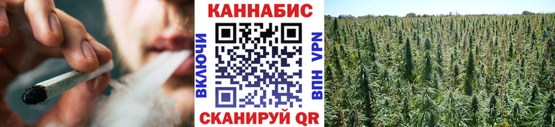 Купить где  Братск  МАРИХУАНА планчик 